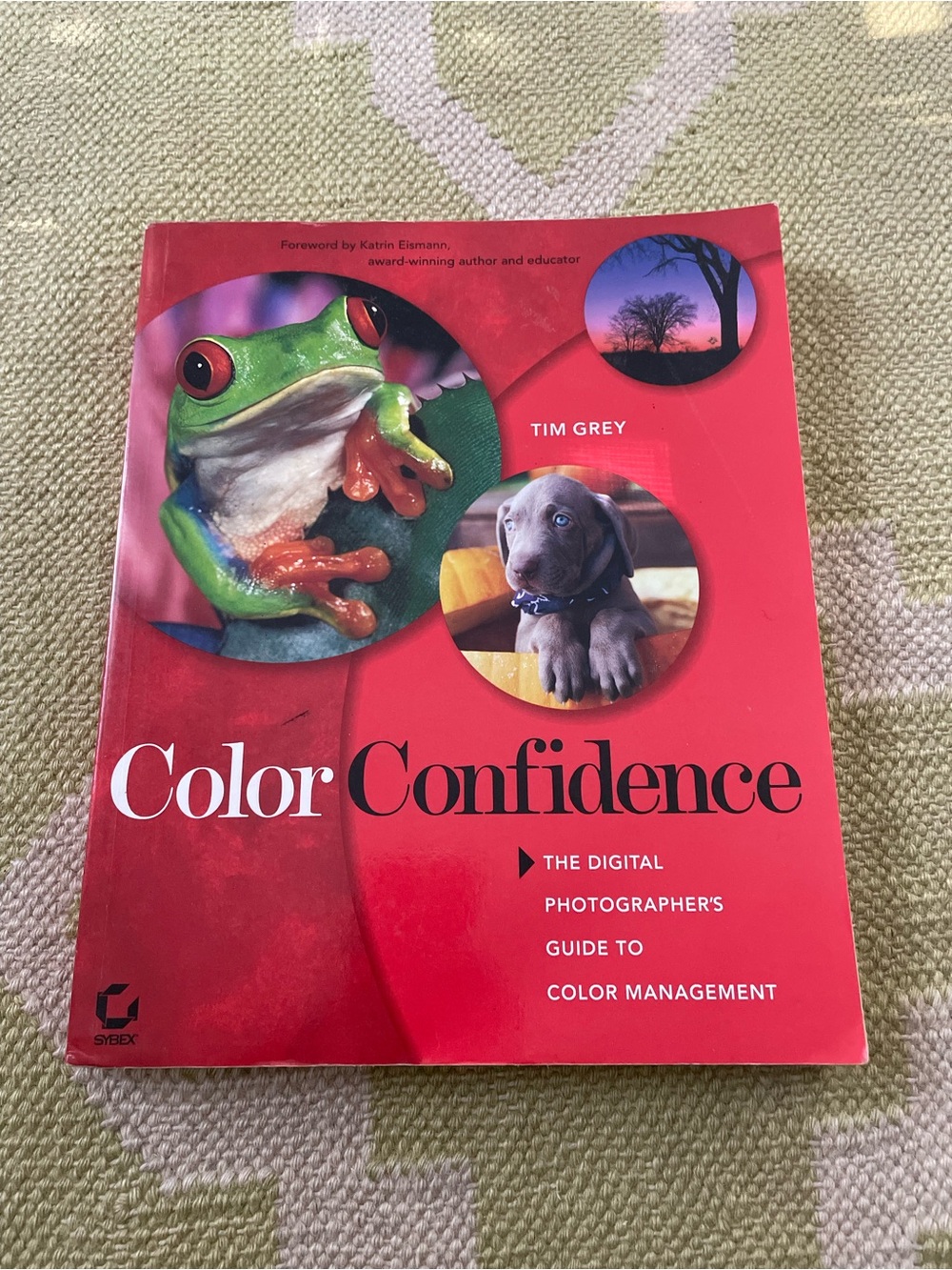 Color Confidence - Red Photography Guide - Picture 1 of 2